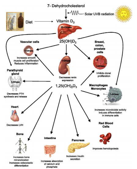 Screen Shot 2018-08-21 at 9.45.53 am.png